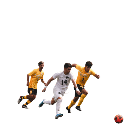 app中心-皇冠体育